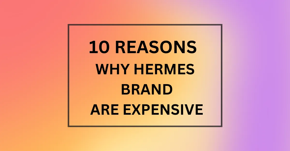 WHY HERMES BRAND ARE EXPENSIVE