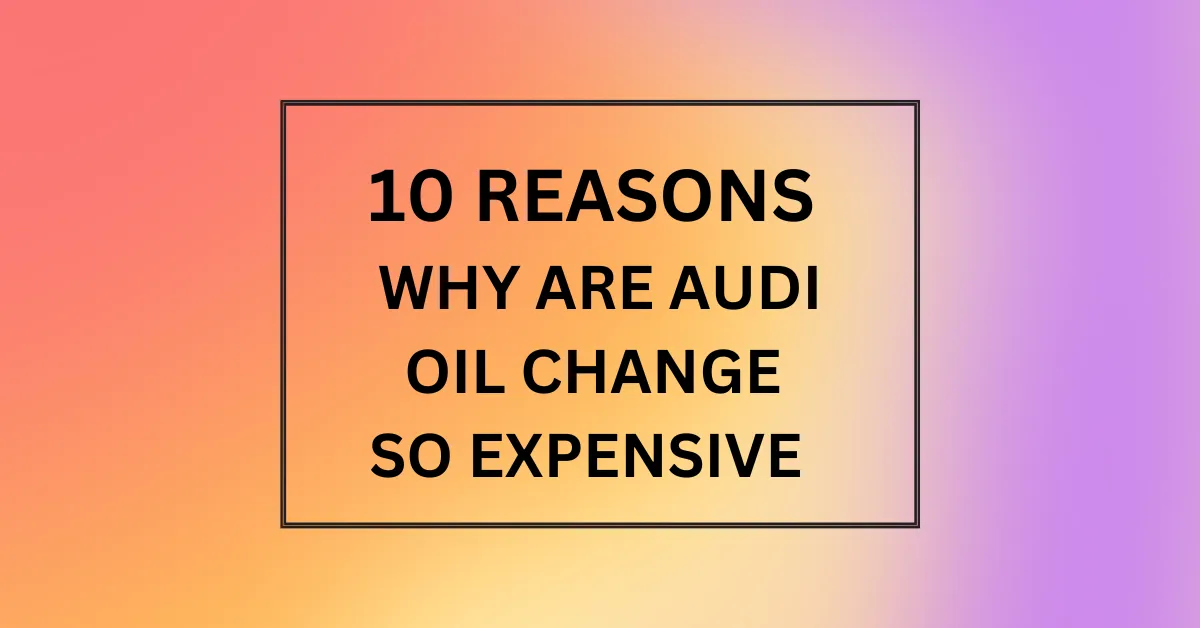 WHY ARE AUDI OIL CHANGE SO EXPENSIVE